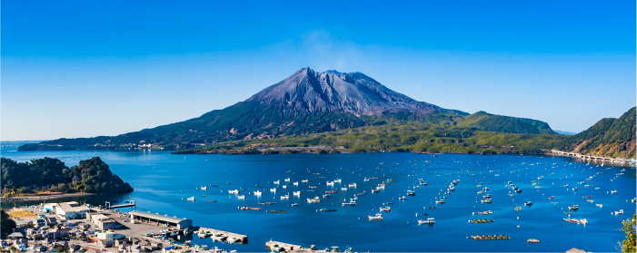 鹿児島の気候風土に特化